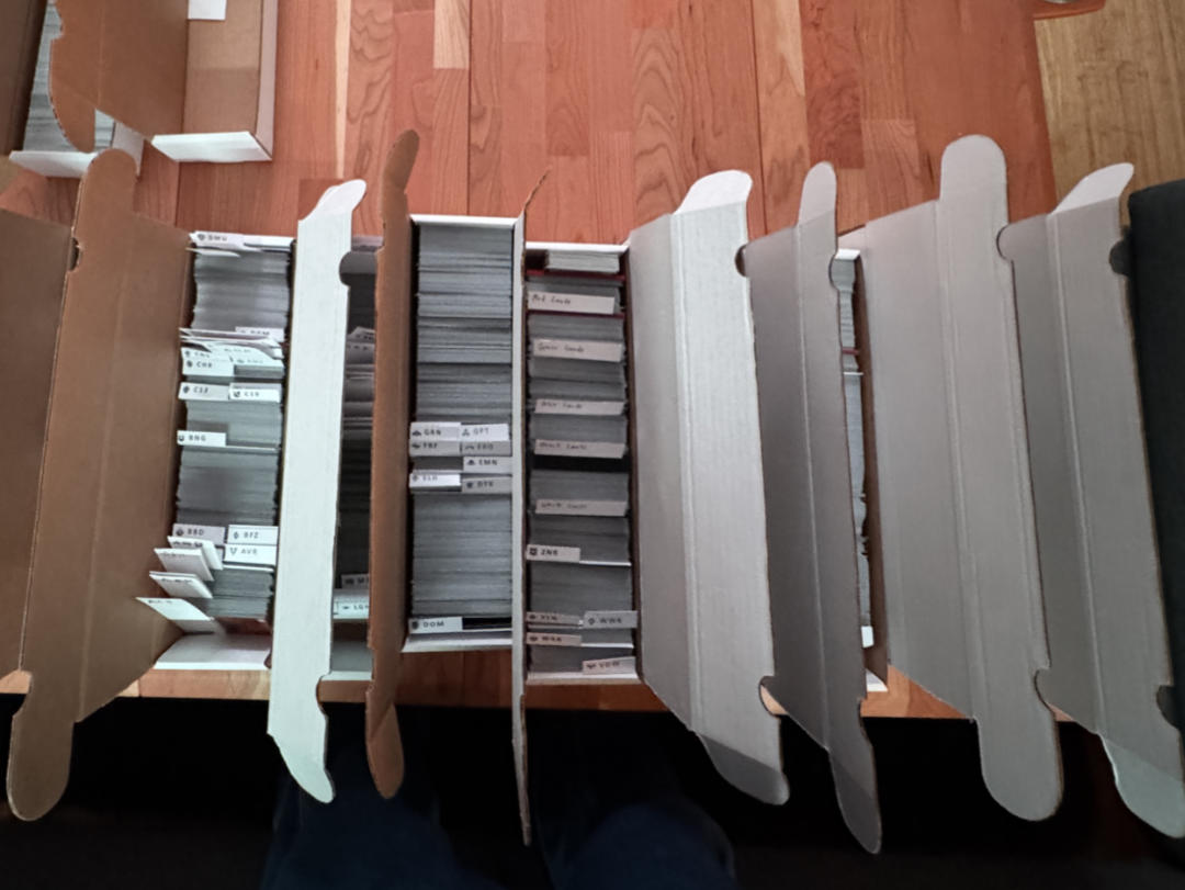BCW storage boxes filled with organized Magic: The Gathering cards